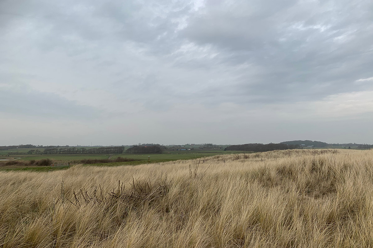 Stacks Image 279